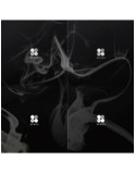 BTS 2nd Album / WINGS