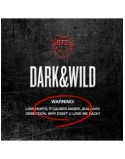 BTS 1st Album / DARK&WILD